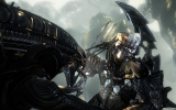 avp11 avp11