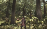 500x_argaan_deer_hunting_in_the_woods 500x_argaan_deer_hunting_in_the_woods