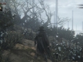 Bloodborne-_20150315000200.jpg Bloodborne-_20150315000200.jpg
