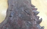 bloodbornesawblade-3 bloodbornesawblade-3