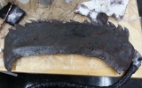 bloodbornesawblade-5 bloodbornesawblade-5