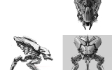 05071905 05071905