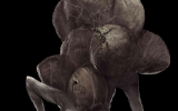 dark_souls_art5 dark_souls_art5