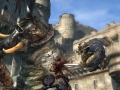 DragonsDogmaOnline-16.jpg DragonsDogmaOnline-16.jpg