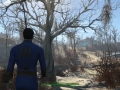 Fallout4_E3_Tree_1434324017 Fallout4_E3_Tree_1434324017