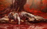 1408005943-fc4-ca-shangrila-injured-tiger 1408005943-fc4-ca-shangrila-injured-tiger