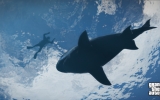 gtav_shot001122412_1280 gtav_shot001122412_1280