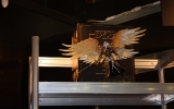 img_7753 img_7753