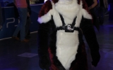 img_7960 img_7960