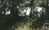 mgstpp_tgs_25_web mgstpp_tgs_25_web
