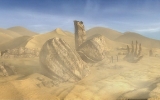 desert desert