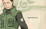 naruto-generations-shika-timeskip-art naruto-generations-shika-timeskip-art