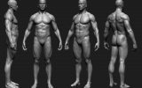 anatomy_8 anatomy_8