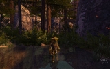 oddswforest1 oddswforest1