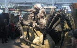 img_1129_610x458 img_1129_610x458