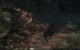 1399053377-6 1399053377-6