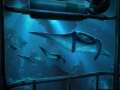 The_Deep_2_1425419610.jpg The_Deep_2_1425419610.jpg