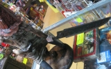 pyramid-head-13-limited-edition-pvc-statue-14 pyramid-head-13-limited-edition-pvc-statue-14