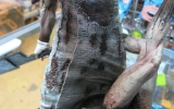 pyramid-head-13-limited-edition-pvc-statue-8 pyramid-head-13-limited-edition-pvc-statue-8