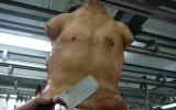 human-torso-from-wesker-and-son human-torso-from-wesker-and-son