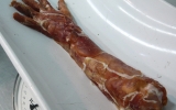 resident-evil-meat-1 resident-evil-meat-1