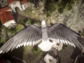 1431019095-risen-3-titan-lords-enhanced-edition-1.jpg 1431019095-risen-3-titan-lords-enhanced-edition-1.jpg