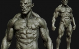 body02low body02low