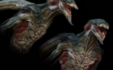 raptor_grassetti_close01 raptor_grassetti_close01