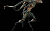 raptor_grassetti_side01 raptor_grassetti_side01