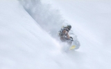 ssx-1 ssx-1