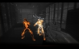 syndicate11 syndicate11