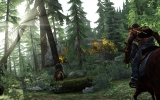 1370039817-riding-through-woods 1370039817-riding-through-woods