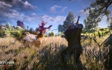 1402005472-the-witcher-3-wild-hunt-3 1402005472-the-witcher-3-wild-hunt-3