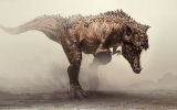 1379316243-desert-rex 1379316243-desert-rex