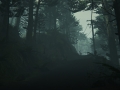 1432565521-11 1432565521-11